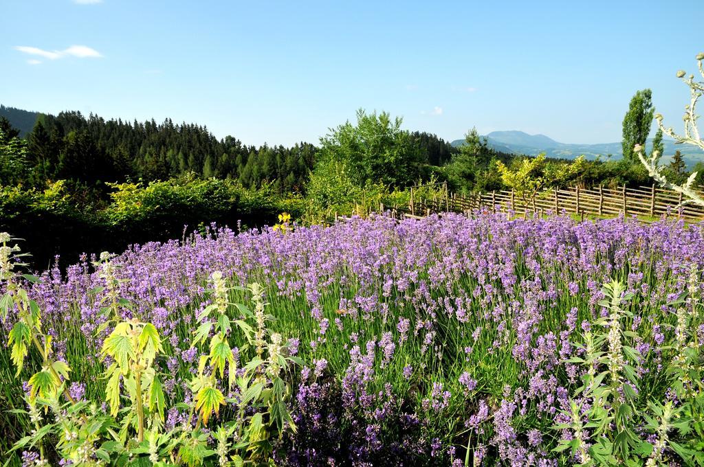 Sulamith Ferienhaus Mit Garten Sankt Kathrein am Offenegg Ruang foto