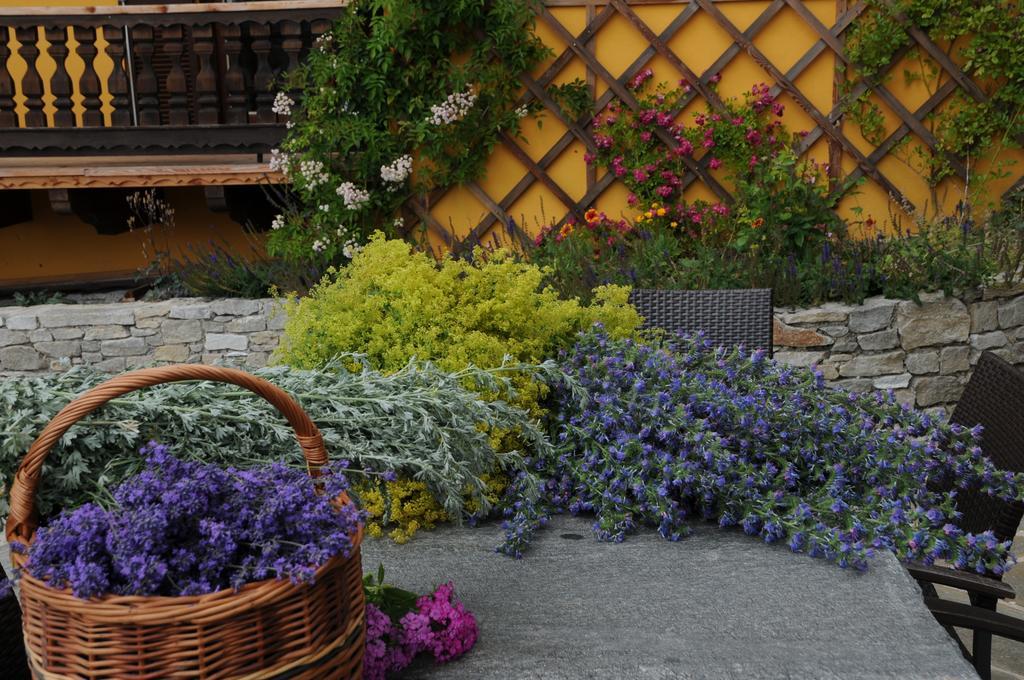 Sulamith Ferienhaus Mit Garten Sankt Kathrein am Offenegg Bagian luar foto