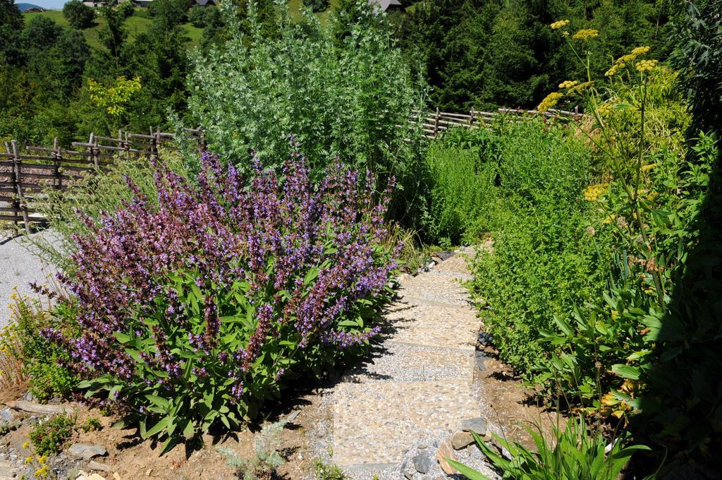 Sulamith Ferienhaus Mit Garten Sankt Kathrein am Offenegg Bagian luar foto