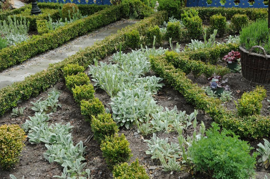 Sulamith Ferienhaus Mit Garten Sankt Kathrein am Offenegg Bagian luar foto