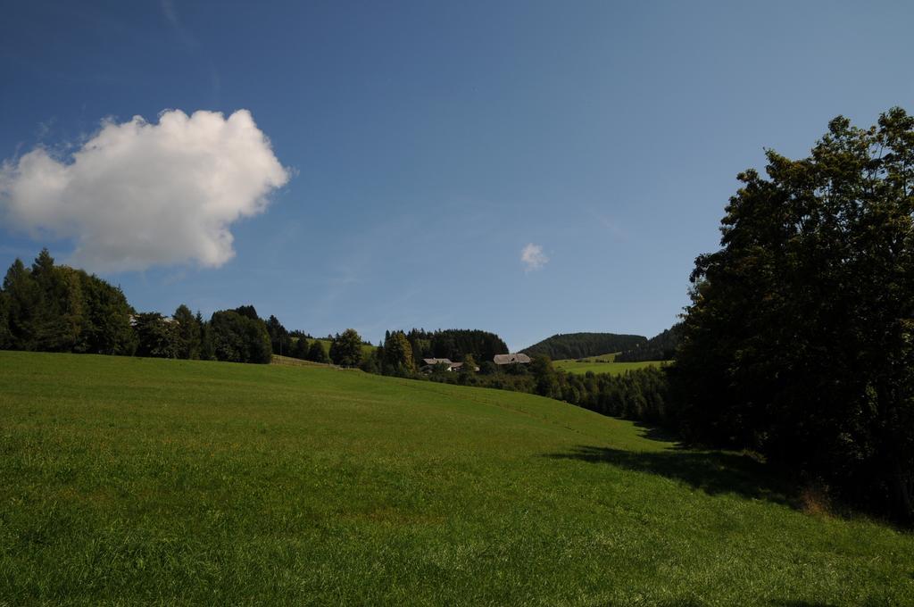 Sulamith Ferienhaus Mit Garten Sankt Kathrein am Offenegg Bagian luar foto