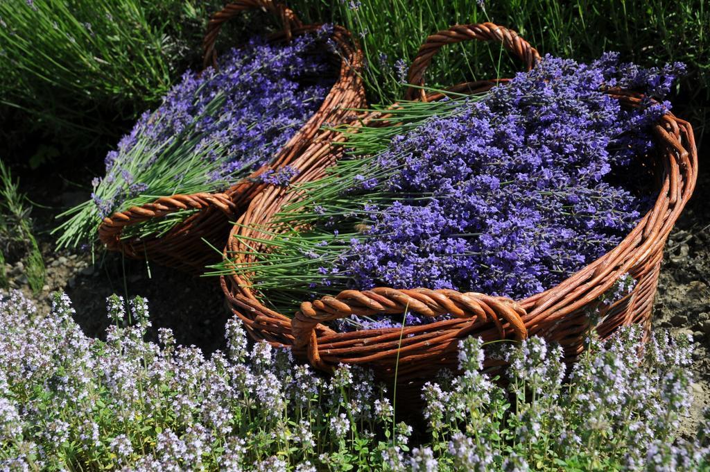 Sulamith Ferienhaus Mit Garten Sankt Kathrein am Offenegg Bagian luar foto